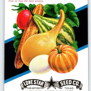 Halloween Gourds Pumpkins Seed Packet EMPTY Vintage Striped Pumpkin Version