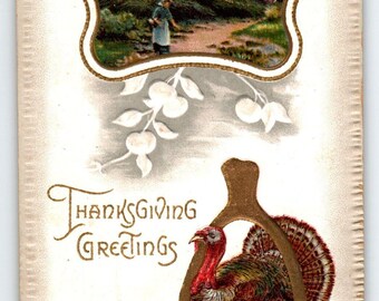 Thanksgiving Greetings Postcard Turkey 1910 A.S Meeker Wishbone Embossed 946