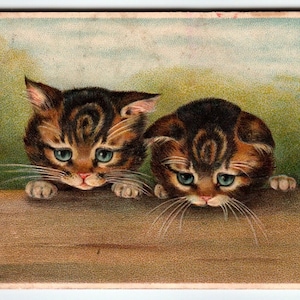 Carte postale Deux chats perchés chatons calicot aux yeux bleus mignons vintage antique 1910 Allemagne