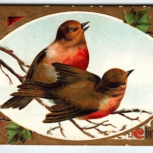 Carte postale de Noël deux rouges-gorges oiseaux assis branches d'arbres en relief vintage 1909