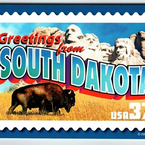 Salutations du Dakota du Sud grande lettre carte postale chromée USPS 2001 taureau inutilisé cadeau unique