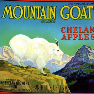 Mountain Goat Apples Crate Label 1940s Vintage Original Chelan Washington