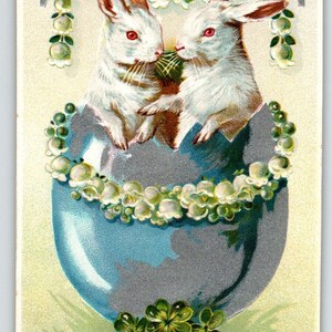 Easter Postcard Bunny White Rabbits Tuck Cracked Egg Flowers Series 704 Embossed Unique Gift
