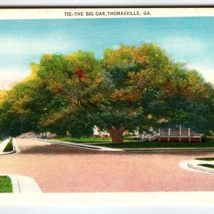 The Big Oak Tree Thomasville Georgia Carte postale en lin vintage Non affilé Non utilisé