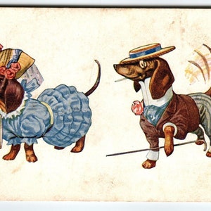 Gekleidet Dackel Postkarte Anthropomorph Fantasy Comical Musik-Zeichen-Hut-Cane Postkarte