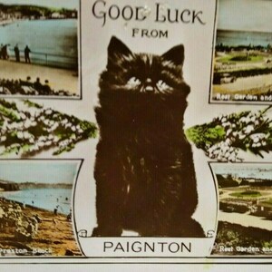 Black Cat Postcard Good Luck From Paignton RPPC Real Photo Nign Ventnor England Unique Gift