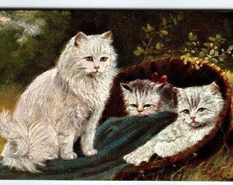 1900 年代のオリジナル擬人化猫とドレッシングミラーアーティスト