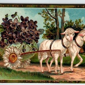 Oster Postkarte Lämmer schleppend Blumenwagen Fantasie Geprägt 1909 PFB Germany 8454 Einzigartiges Geschenk