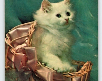 White Kitten Cat In Fancy Basket Postcard Chrome Cute Unposted Colourpicture