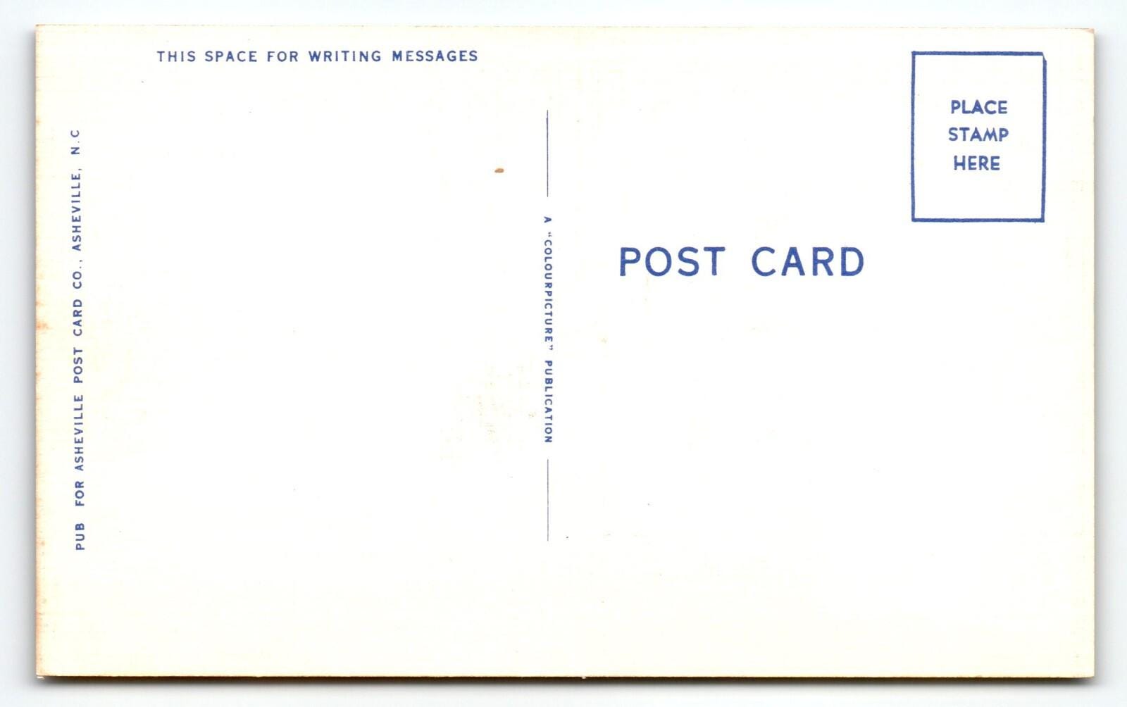 I've Waited so Long for a Letter From You Dog Vintage Linen Postcard - Etsy