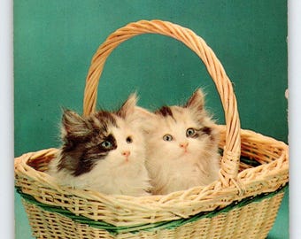 Kittens Cats In Basket Postcard Chrome 1965 Greeting From East Tawas Michigan Unique Gift
