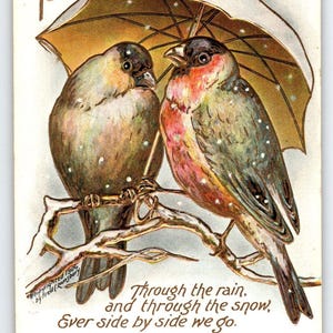 Carte postale À ma Saint-Valentin Oiseaux chanteurs par parapluie de neige Fantaisie Fred Lounsbury 1906
