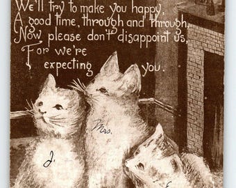 3 Cats Kittens By Fireplace Postcard Vintage Poem Prince Publishing 1910