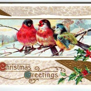 Weihnachts Postkarte Winter Schnee Lied Vögel Auf Ast Stecher Serie 210 D