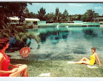 Weeki Wachee Springs Wall Art, Brooksville FL Print, Florida