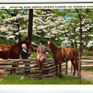 Carte postale en lin Asheville NC, fleurs de cornouiller