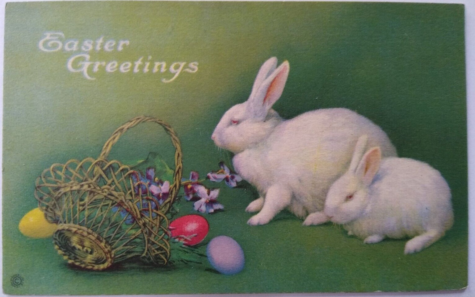 White Rabbit Postcard Easter Greetings Postcard White Bunny Rabbits Eggs Basket Series 753 F ...