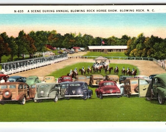 Blowing Rock Horse Show Gamla bilar North Carolina Vintage linnevykort Oanvänd