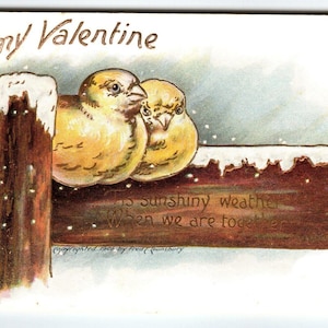 To My Valentine Postkarte Vögel auf Schnee bedeckt Zaun Fred Lounsbury 1906