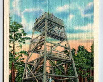 Observation Tower On Clingman's Dome Great Smoky Mountains NC Linen Postcard Unique Gift