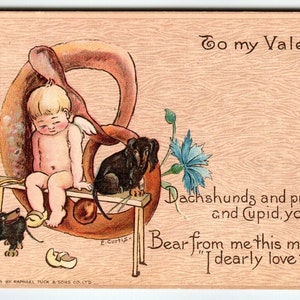 Carte postale Saint Valentin Tuck E Curtis Boy bretzel teckel chiens chiot 1906 cadeau unique