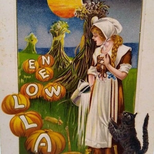 Halloween Carte postale Hibou Chat noir Ferme Samuel Schmucker Fantaisie John Winsch 1913 Cadeau unique
