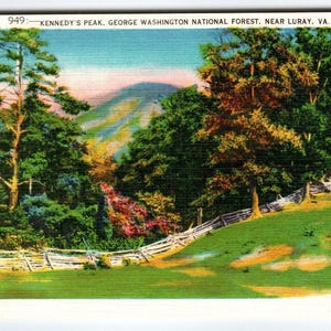 Carte postale Kennedys Peak Forêt de George Washington Luray Virginie Milieu du siècle