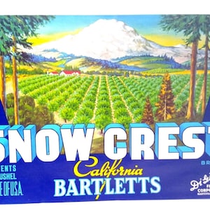 Snow Crest Bartlett Pears Mountain Valley Vintage Crate Label 1950&#39;s Original Unique Gift