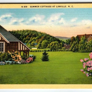 Carte postale en lin Summer Cottages At Linville, Caroline du Nord, fleurs vintage Hills
