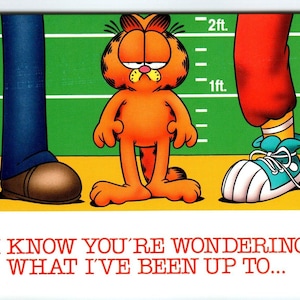 Garfield Katze Postkarte Jimfunke 1978 Tabby Cartoon Kätzchen Unbenutzt What I've Been Einzigartiges Geschenk