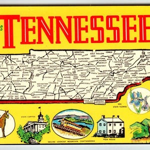 Carte postale de voeux du Tennessee, Chrome State, marche cheval, fleur d'iris, cadeau unique