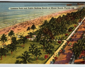 Miami Beach Florida Postcard Lummus Park Beach Linen Palm Trees Old Cars 1951 Unique Gift