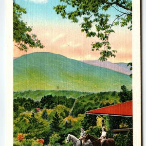 Carte postale T-3 vintage Horses Tryon Peak Godshaw Hill Tryon NC Carte postale en lin vintage