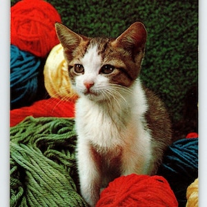 Carte postale chaton calicot chat avec pelote de laine, chrome sans emballage Dexter Laine pour vous cadeau unique
