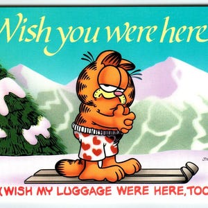 Garfield Wish You Were Here Postkarte Jim Delix Comic Orange Tabby Katze Auf Skiern Einzigartiges Geschenk