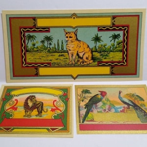 Wild Animal Labels 1890&#39;s (3) Original Lion Cat Peacock Parrot Birds Vintage Unique Gift