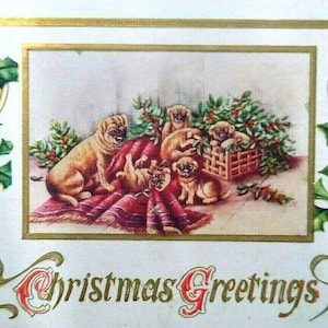 Christmas Postcard Embossed Pug Dog And Puppies Original Antique Unused Vintage Unique Gift
