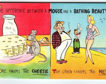 The Difference Between A Mouse And A Bathing Beauty Lady Linen Comical Postcard