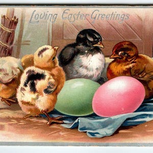 Carte postale de Pâques Poussins des années 1910, Oeufs peints, Salutations affectueuses en relief