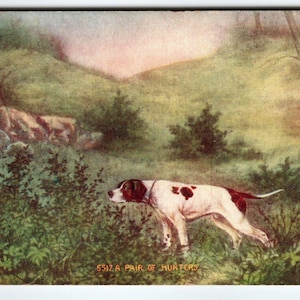 Hunter Pointer Hunting Dog Postcard Rustic Woods Antique Ser 5517 Vintage 1908