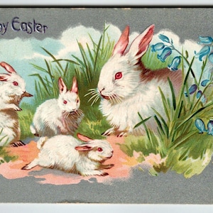 Ostern Postkarte Weißes Häschen Glockenblumen Blumen Serie 701 Geprägtes Geschenk