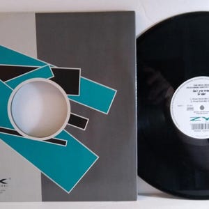 The Real Deal Featuring Annette Taylor Don&#39;t You Wanna Be Mine Vinyl 12&quot; ZYX