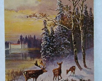 Reh Wald Bäume See Malerische Ansicht Postkarte Signiert Müller Serie 278 HK&M Vintage