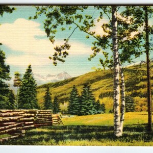 Carte postale vintage Belle carte postale en lin Vista Gray Rock Peak Mountains Colorado