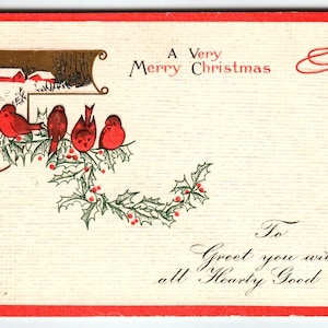 Rote Kardinäle Weihnachtsvögel Postkarte Stecher Serie 452 C Vintage Geprägt