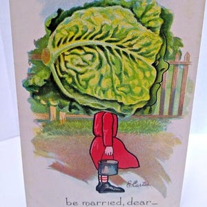 May include: A vintage postcard featuring a humorous illustration of a person with a head of lettuce and a red dress carrying a bucket. The text on the postcard reads "be married, dear".