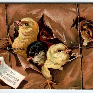 Easter Postcard Baby Chick Heads Pop Out Of Package Series 700 Tuck 1909 Unique Gift
