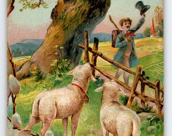 Easter Postcard Baby Lambs Man On Country Farm Flower Tree Vintage Embossed 1912 Unique Gift