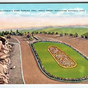 Carte postale vintage 525 Clingman's Dome Parking Area – Great Smoky Mountains NC