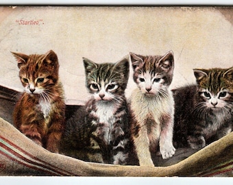 ヴィンテージ猫のポストカード 4匹の子猫が座って驚いている ロビンズブラザーズ 1911年 アンティーク